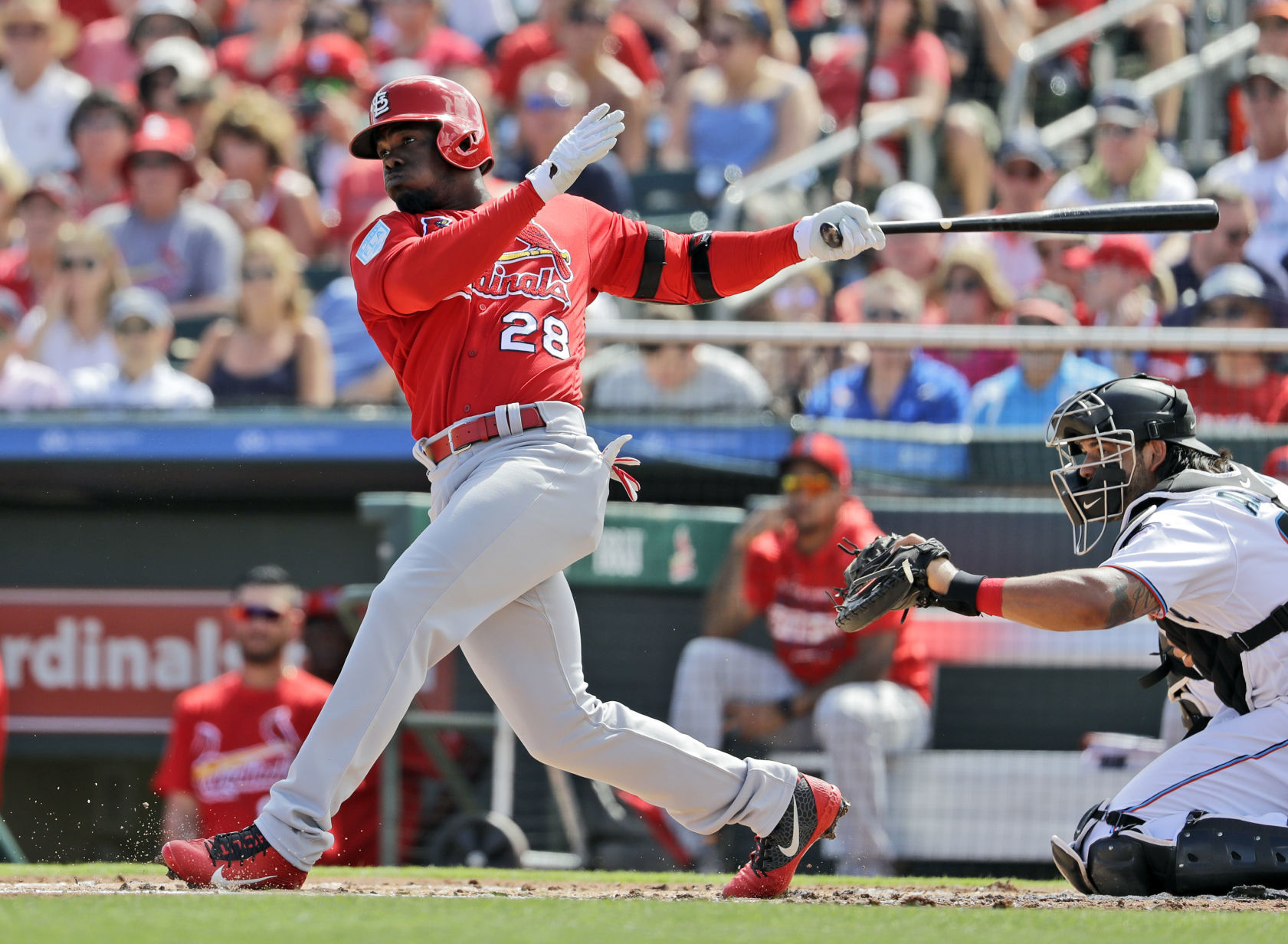 Cardinals Marlins Spring Baseball